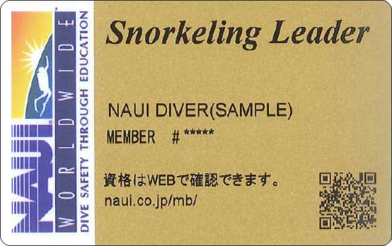 スノーケリングリーダーカード