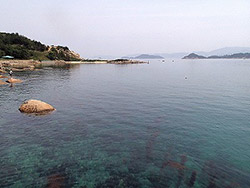 �Z�u���V�[�Y�u�r�[�`�N���[���i�b�v�C�x���g�v�J�Ái����25�N7��20���j